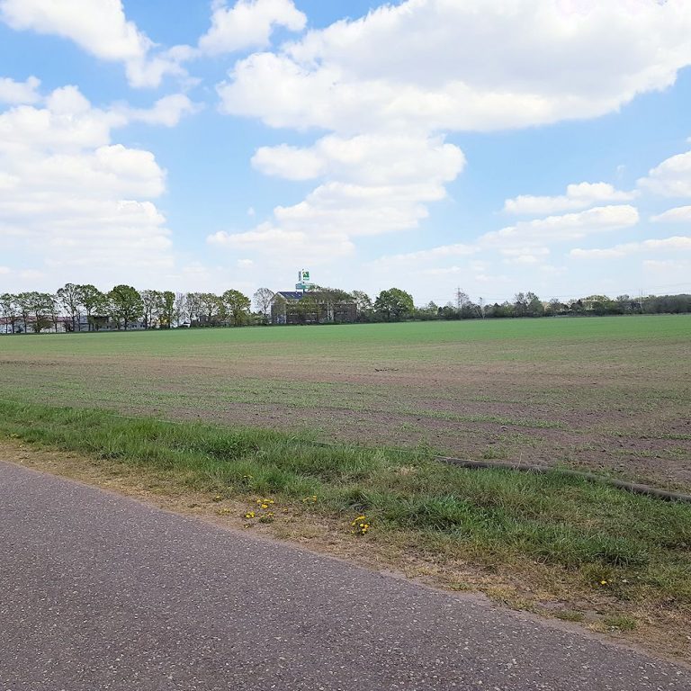 Aligse Feldmark Kreuzeiche Blick auf das Gewerbegebiet