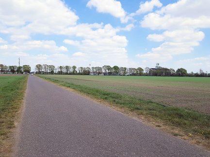 Aligse Feldmark Kreuzeiche