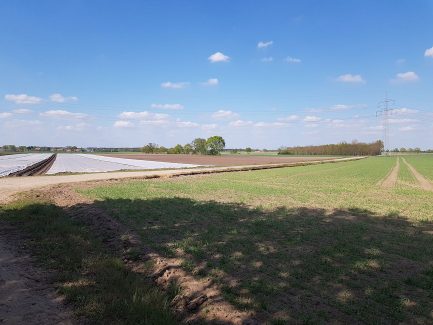 Aligser Feldmark beim Reiterhof Winkelmann