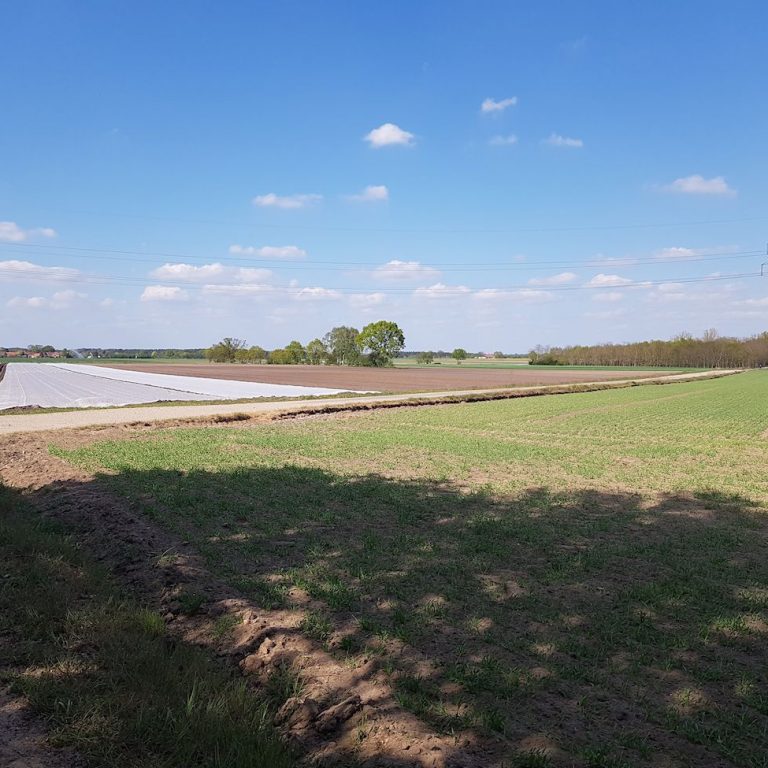 Aligser Feldmark beim Reiterhof Winkelmann