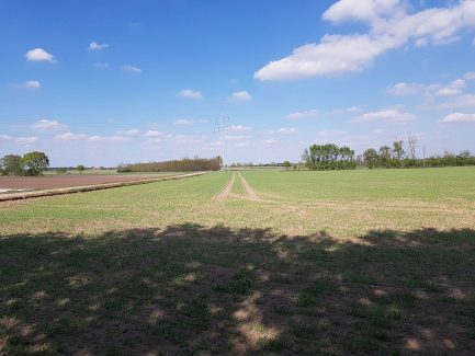 Aligser Feldmark beim Reiterhof Winkelmann