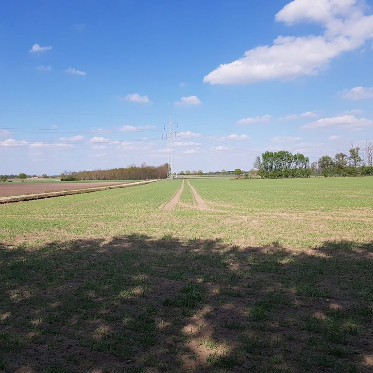 Aligser Feldmark beim Reiterhof Winkelmann