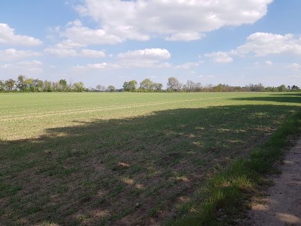 Aligser Feldmark beim Reiterhof Winkelmann