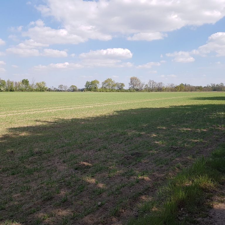 Aligser Feldmark beim Reiterhof Winkelmann