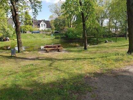 Blick auf den Dorfteich in Aligse