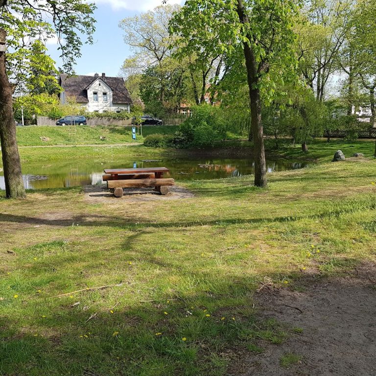 Blick auf den Dorfteich in Aligse