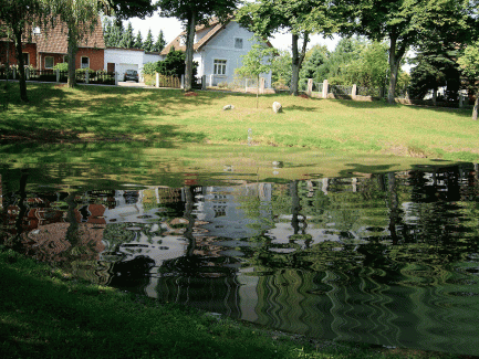 Dorfteich Aligse